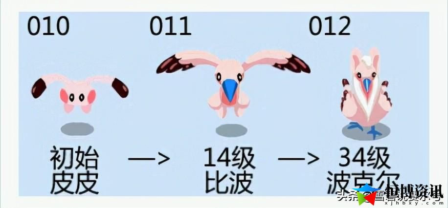 赛尔号闪光皮皮在哪里抓？怎么捕捉闪光皮皮
